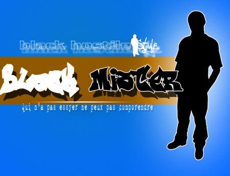 Le style